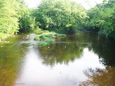 Black River near Cty Rd O, WI