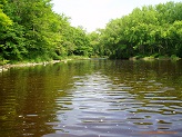 Black River near Cty Rd O, WI