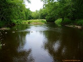 Black River near Cty Rd O, WI