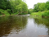 Black River near Cty Rd O, WI