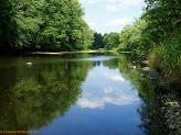 Black River near Cty Rd X, WI