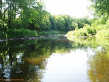 Black River near Cty Rd X, WI