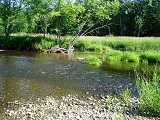 Black River near Cty Rd N, WI