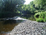 Black River near Cty Rd N, WI