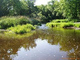 Black River near Cty Rd N, WI