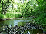 Black River near Cty Rd N, WI