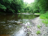 Black River near Cty Rd N, WI