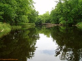 Black River near Colby Factory Rd, WI