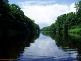 Black River near Colby Factory Rd, WI