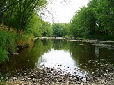 Black River near Popple River, WI