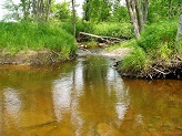 Black River near Hemlock Road, WI