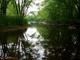 Black River near Hemlock Road, WI