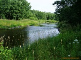 Black River near Greenwood, WI