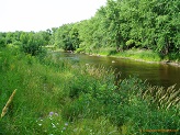 Black River near Greenwood, WI