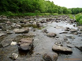 Black River near Greenwood, WI