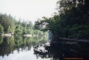 Black River near Halls Landing, WI