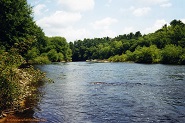 Black River below Black River Falls, WI