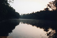 Black River near Hawk Island, WI