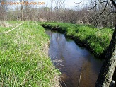 Cave Creek, a trout stream in East Central Wisconsin.