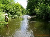 East Fork Eau Claire River, NE. Wisconsin