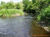 East Branch Eau Clair River, a trout stream in East Central Wisconsin.