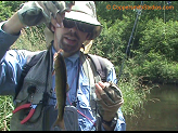 Eau Clair brook trout.