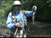 Eau Clair brook trout.