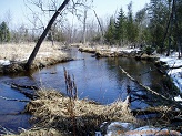 Flume Creek, a trout stream in East Central Wisconsin.