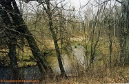  a trout stream in East Central Wisconsin.