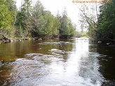 Plover River, a trout stream in East Central Wisconsin.