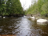 Plover River, a trout stream in East Central Wisconsin.