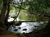 Plover River, a trout stream in East Central Wisconsin.