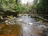 Plover River, a trout stream in East Central Wisconsin.