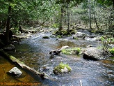 Plover River, a trout stream in East Central Wisconsin.