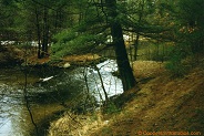 White River, a trout stream in East Central Wisconsin.