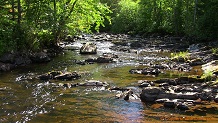 Tyler Forks River, a trout stream in NE Wisconsin.