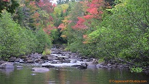 Tyler Forks River, a trout stream in NE Wisconsin.