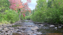 Tyler Forks River, a trout stream in NE Wisconsin.