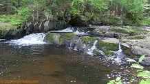 Tyler Forks River, a trout stream in NE Wisconsin.