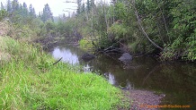 Tyler Forks River, a trout stream in NE Wisconsin.