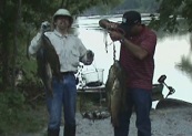 Fish from Crawfish River, Wisconsin