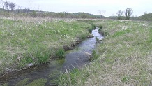 Steiner Branch, near Madison, WI