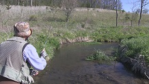 Trout Brook, near Madison, WI