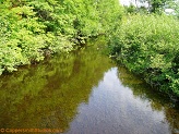 Big Rib River, a trout stream in WC Wisconsin.