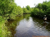 Big Rib River, a trout stream in WC Wisconsin.