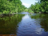 Big Rib River, a trout stream in WC Wisconsin.