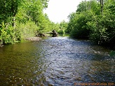 Big Rib River, a trout stream in WC Wisconsin.