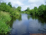 Big Rib River, a trout stream in WC Wisconsin.