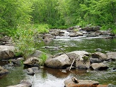 Big Rib River, a trout stream in WC Wisconsin.