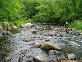 Big Rib River, a trout stream in WC Wisconsin.